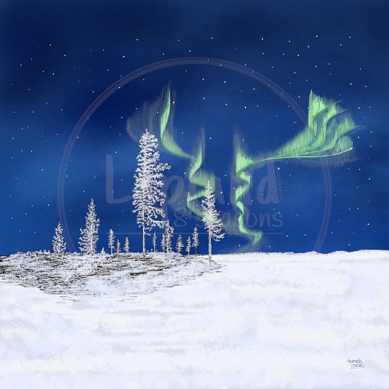 FrostyWinter-SpringWinter-Lapland8Seasons