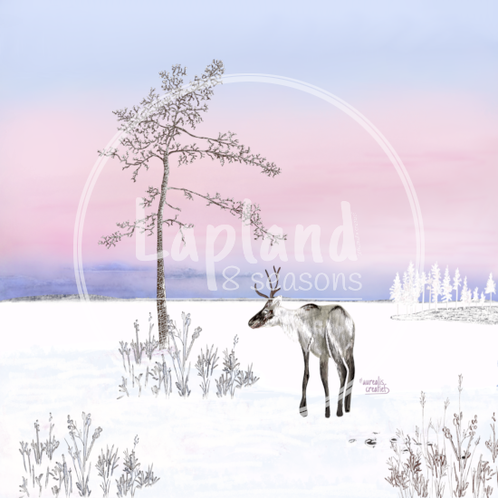 Frosty Winter - Lapland8Seasons-2